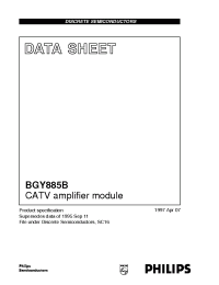 Datasheet  BGY885B