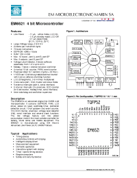 Datasheet  EM6521