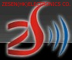 ZESEN(HK)ELECTRONICS CO.